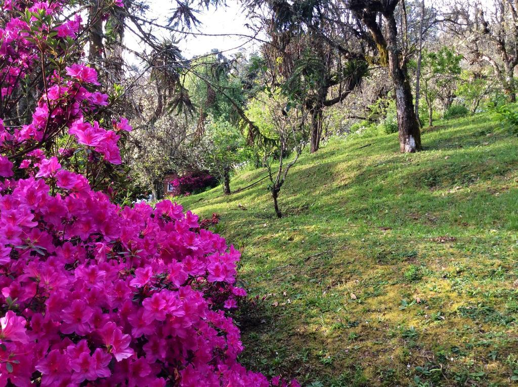 Sitio Nossa Senhora De Loreto กังโปสดูจอร์เดา ภายนอก รูปภาพ