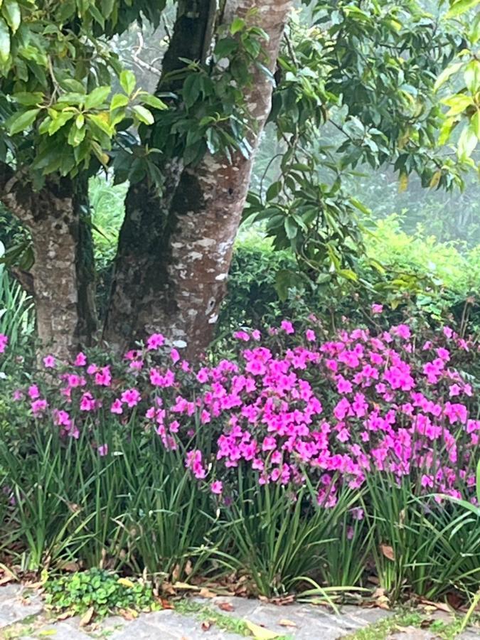 Sitio Nossa Senhora De Loreto กังโปสดูจอร์เดา ภายนอก รูปภาพ